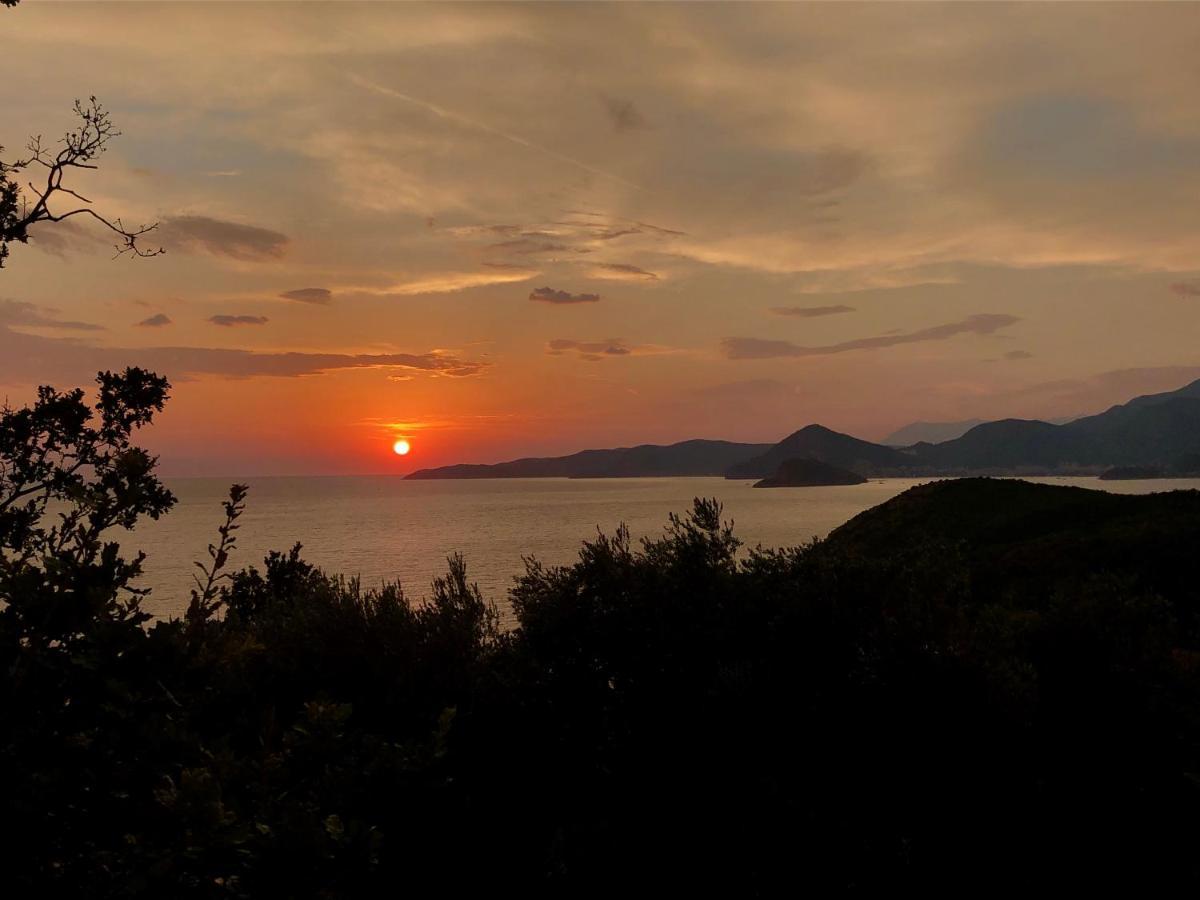 Kuca Radovic Hotell Budva Exteriör bild